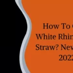 How To Clean White Rhino Glass Straw? New Guide 2022