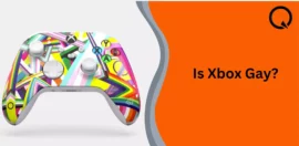 Is Xbox Gay?
