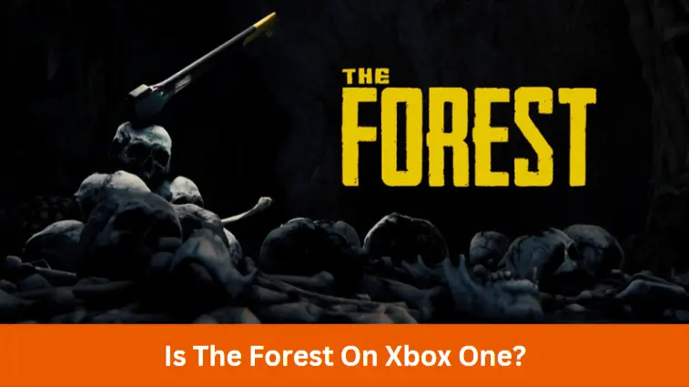 gans Uitgebreid Concessie Is The Forest On Xbox One? | MercerOnline
