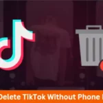 How to Delete TikTok Without Phone Number?