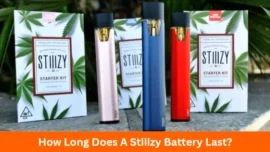 How Long Does A Stiiizy Battery Last