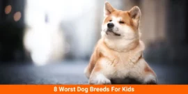 8 Worst Dog Breeds For Kids